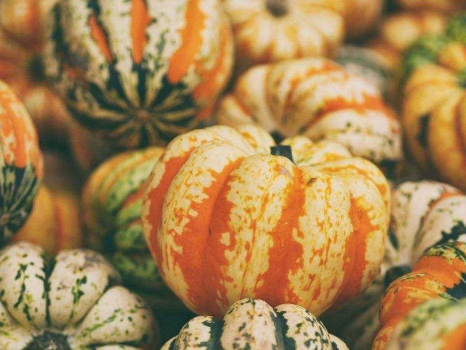 Family basket background